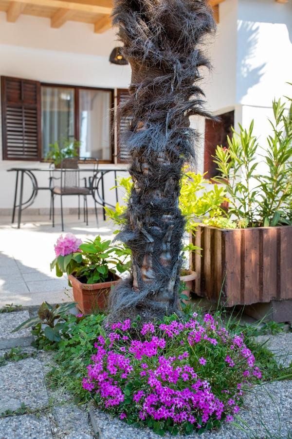 Apartman Luka Rovinj Zewnętrze zdjęcie