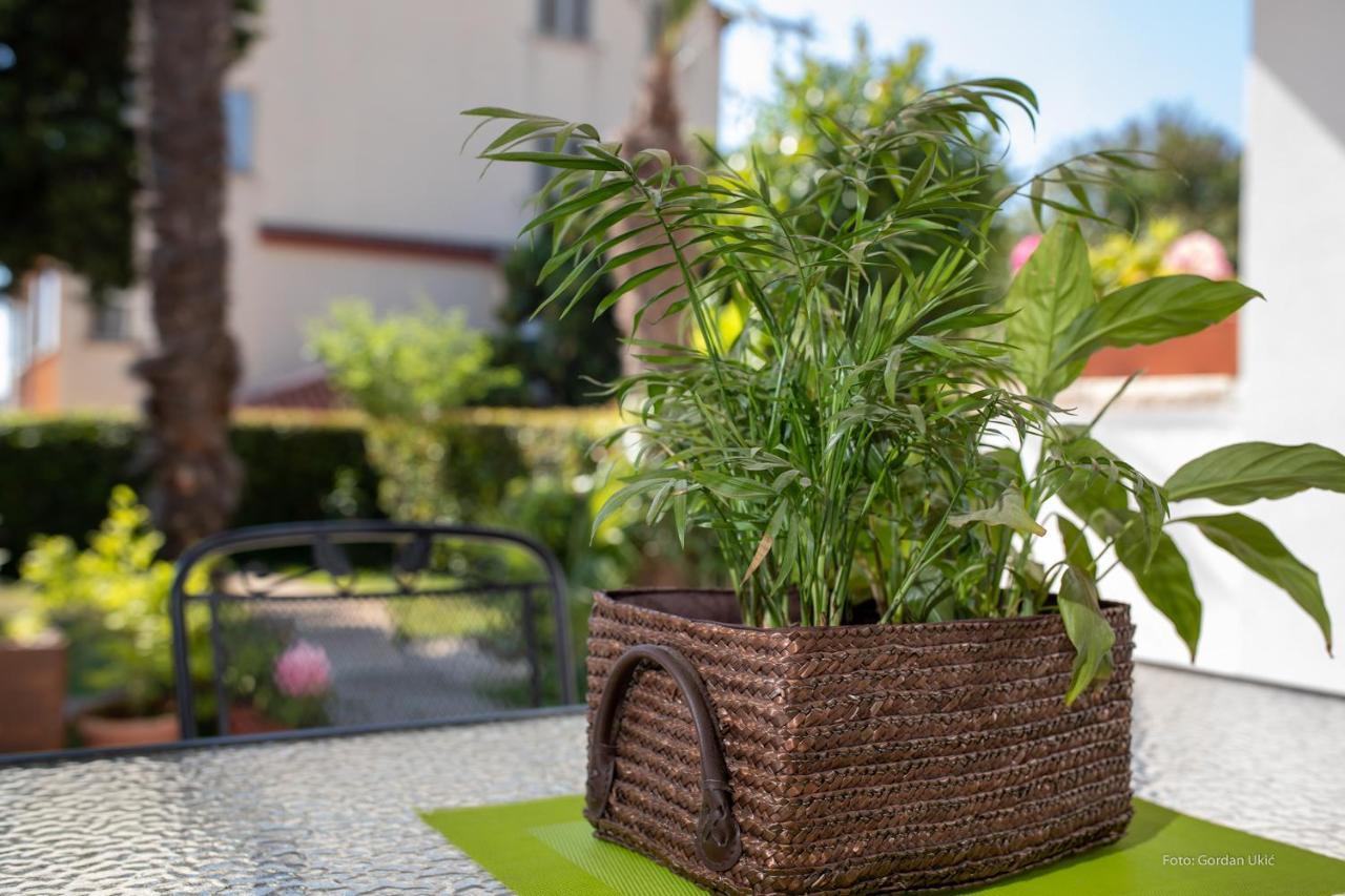 Apartman Luka Rovinj Zewnętrze zdjęcie